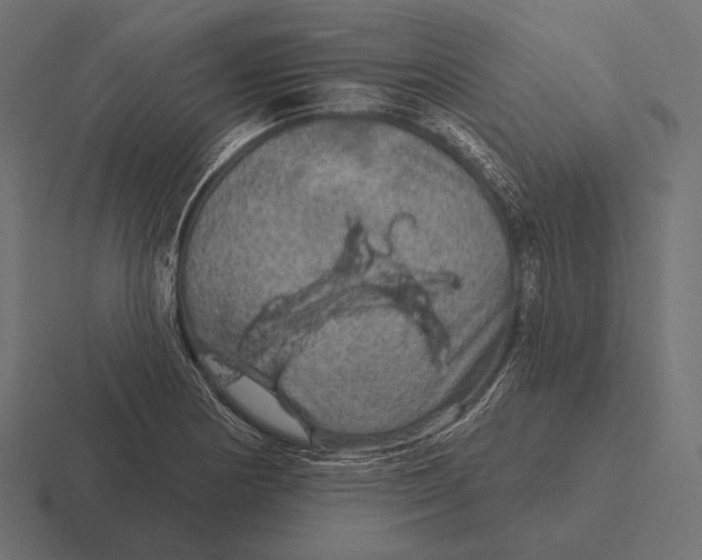 X0000116591178200912291302