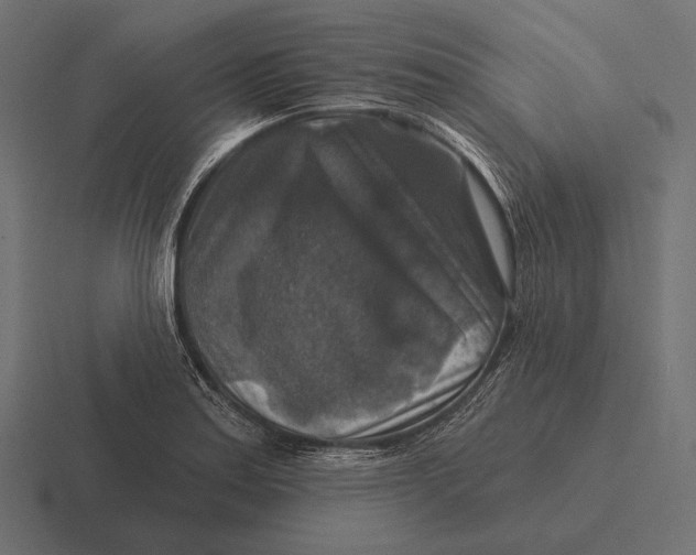 X0000116591179200912291302