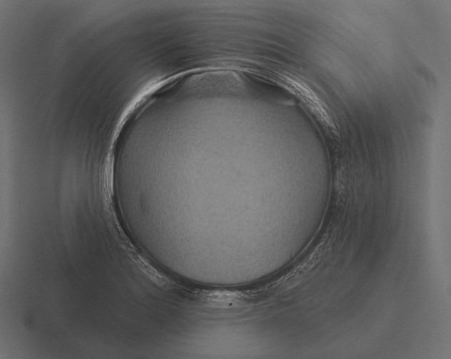 X0000116591180200912291302