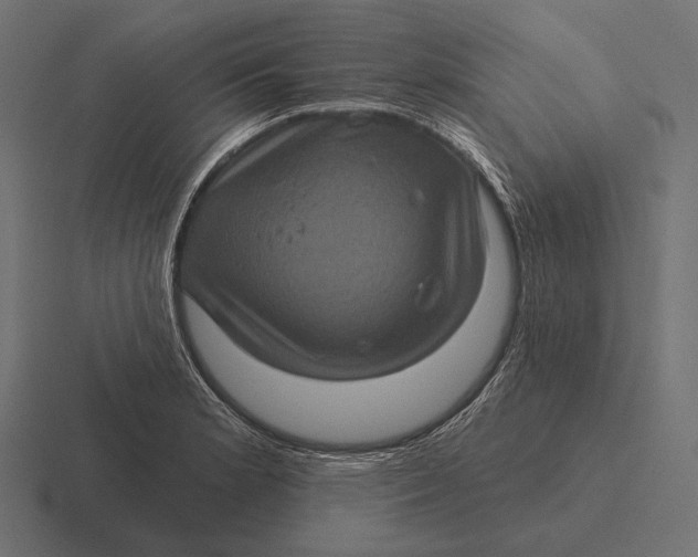 X0000116591181200912291302