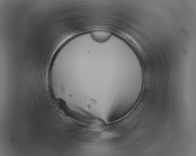 X0000116591182200912291302