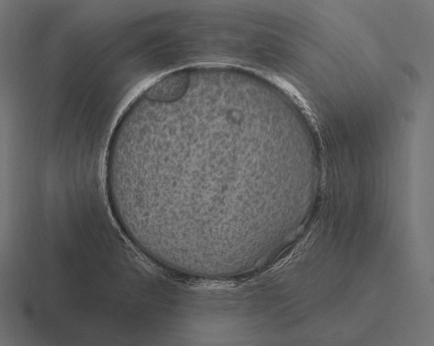 X0000116591183200912291302