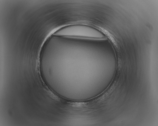 X0000116591184200912291302