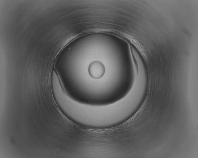 X0000116591185200912291302