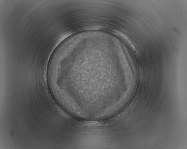 X0000116591186200912291302