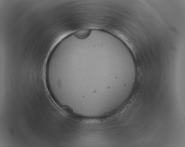 X0000116591187200912291302