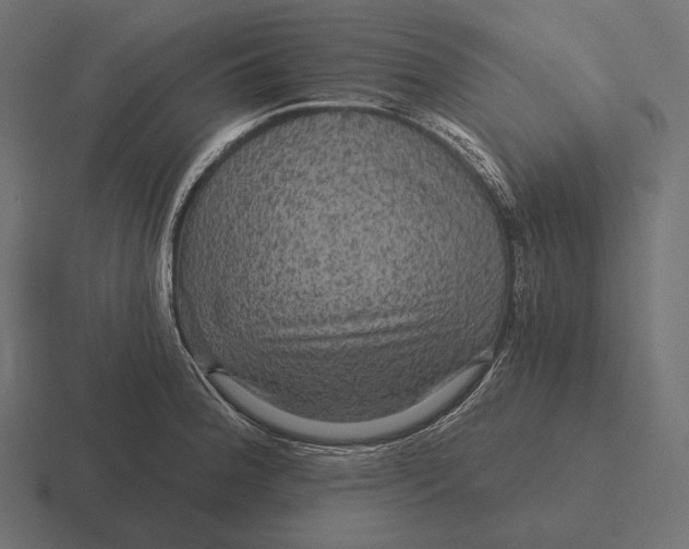 X0000116591188200912291302