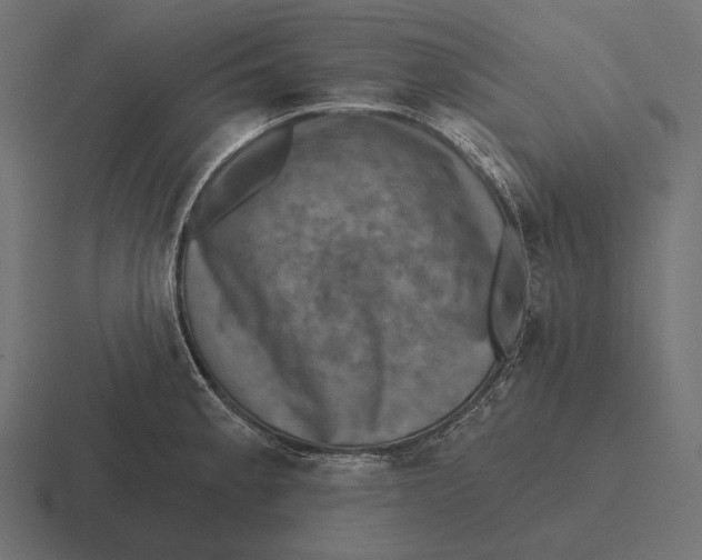 X0000116591189200912291302