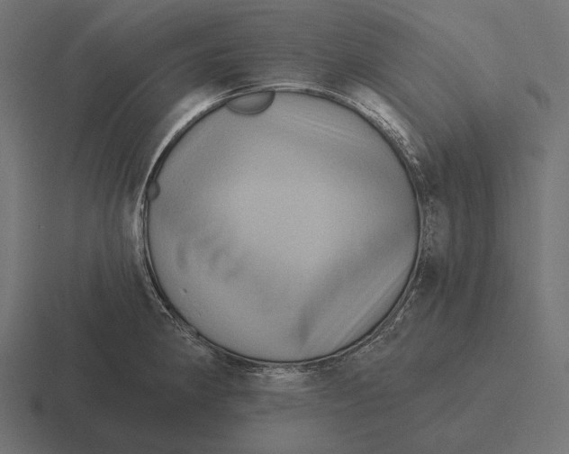 X0000116591190200912291302