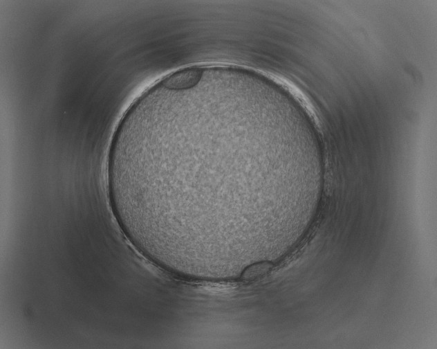 X0000116591191200912291302