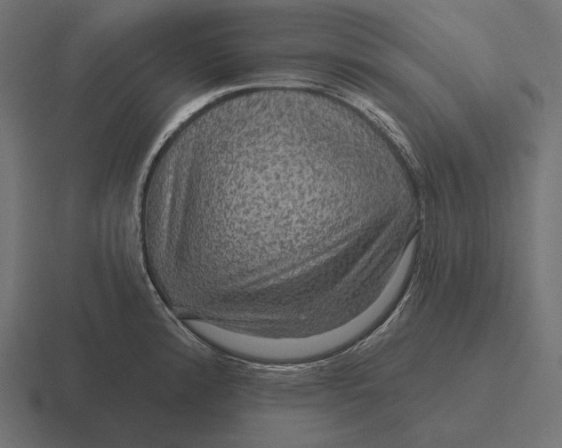 X0000116591192200912291302