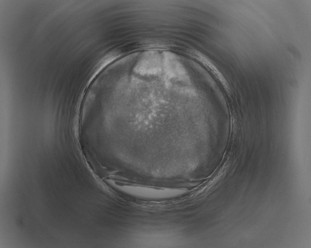 X0000116591194200912291302