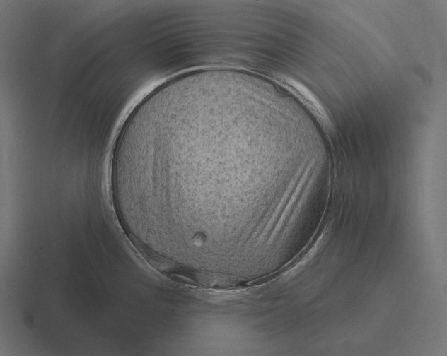 X0000116591196200912291302