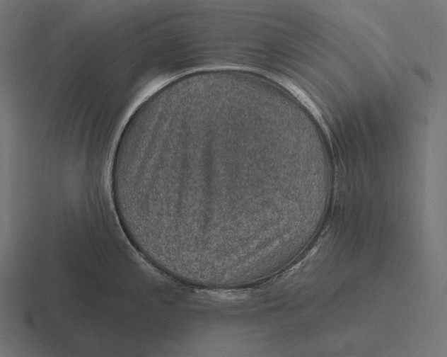 X0000116591197200912291302