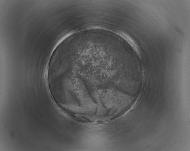 X0000116591198200912291302