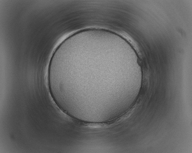 X0000116591199200912291302