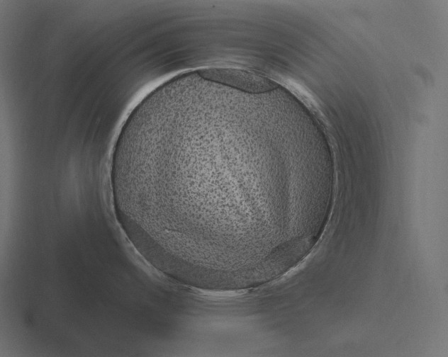 X0000116591200200912291302