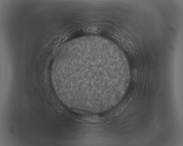 X0000116591201200912291301