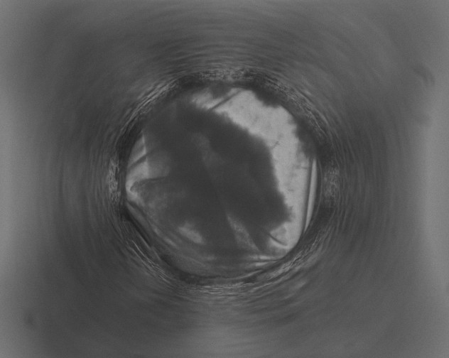 X0000116591202200912291301