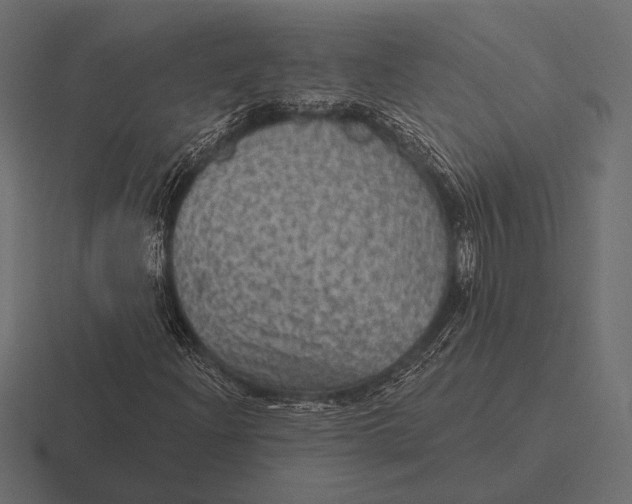 X0000116591204200912291301