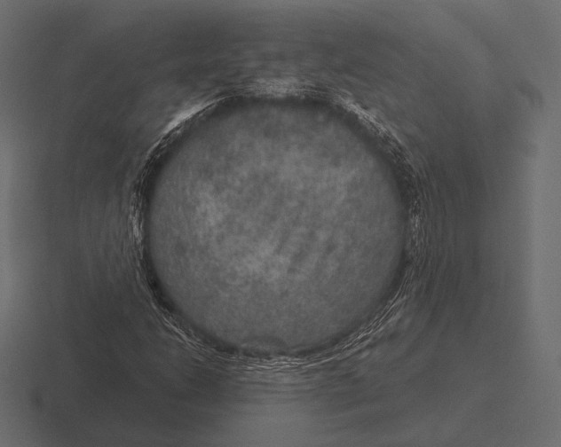 X0000116591206200912291301