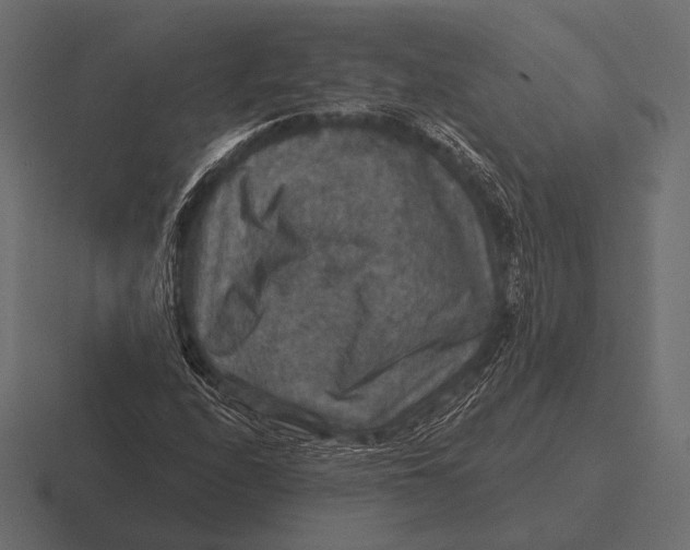 X0000116591208200912291301