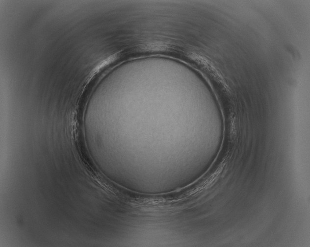 X0000116591210200912291301