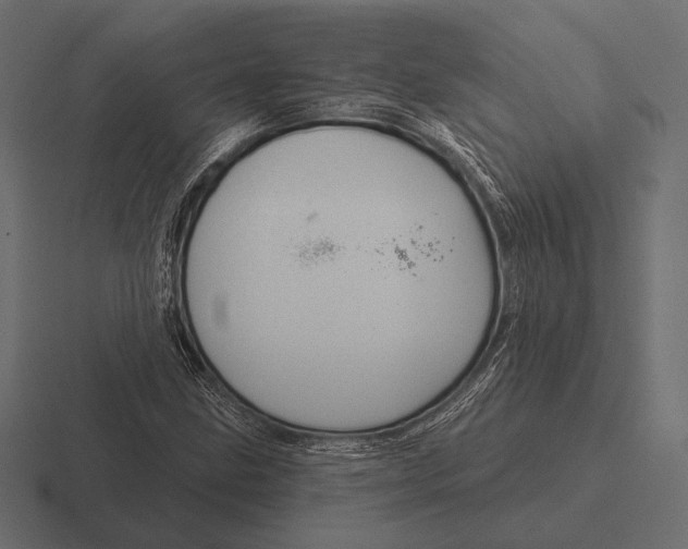 X0000116591211200912291301