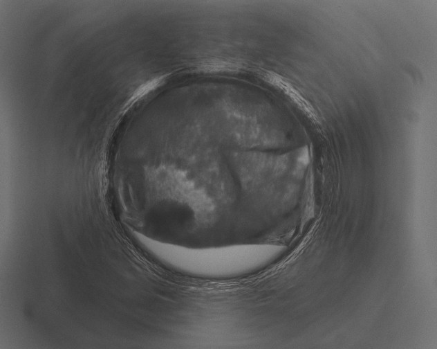 X0000116591213200912291301