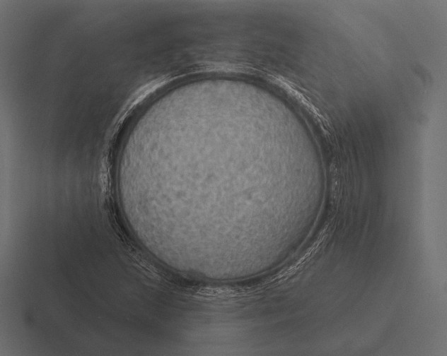 X0000116591215200912291301