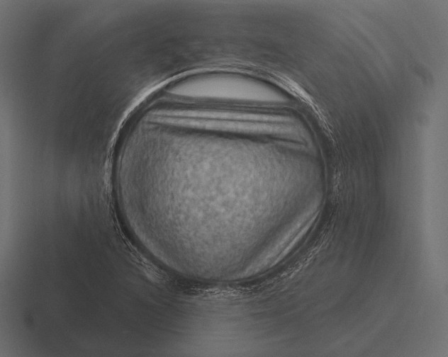 X0000116591216200912291301