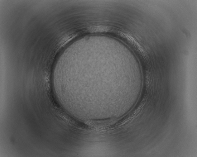 X0000116591217200912291301