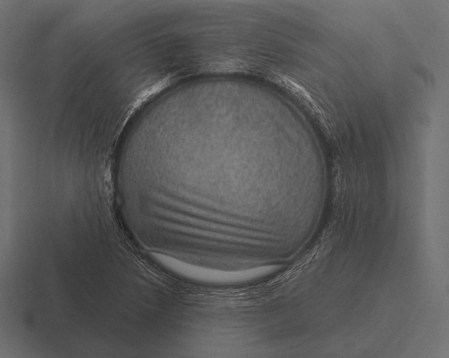 X0000116591218200912291301