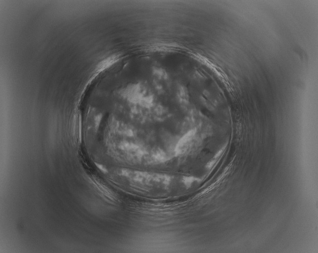 X0000116591219200912291301