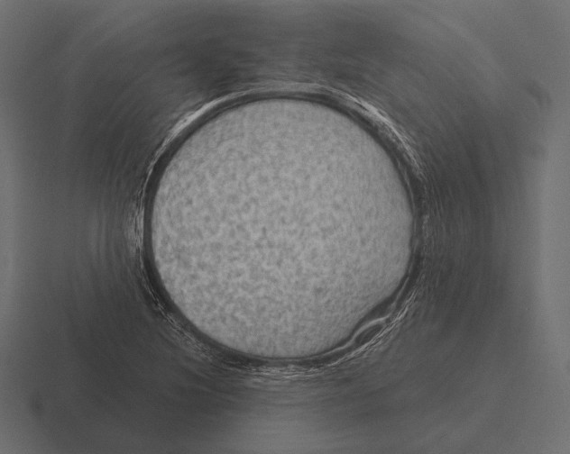 X0000116591220200912291301