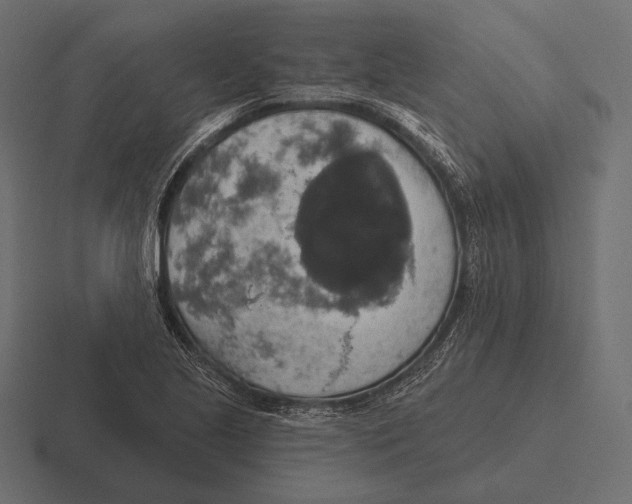 X0000116591221200912291301