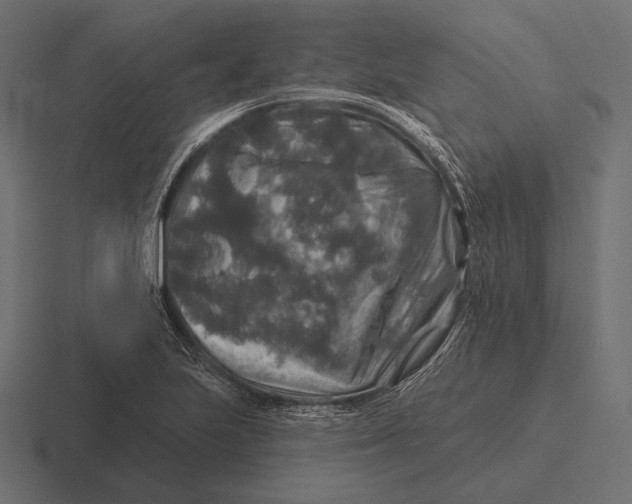 X0000116591223200912291301