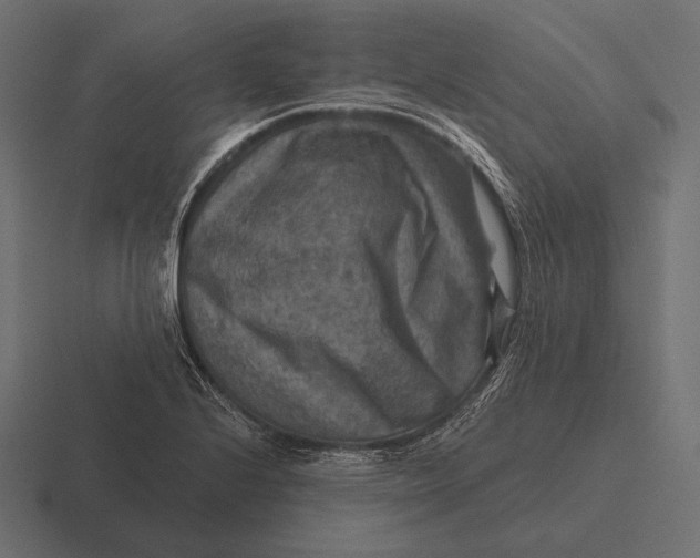 X0000116591224200912291301