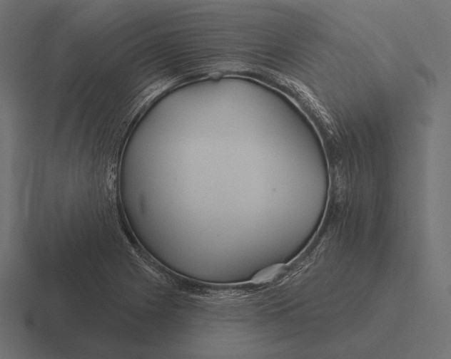 X0000116591225200912291301