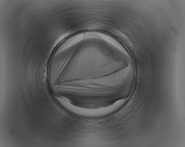 X0000116591226200912291301