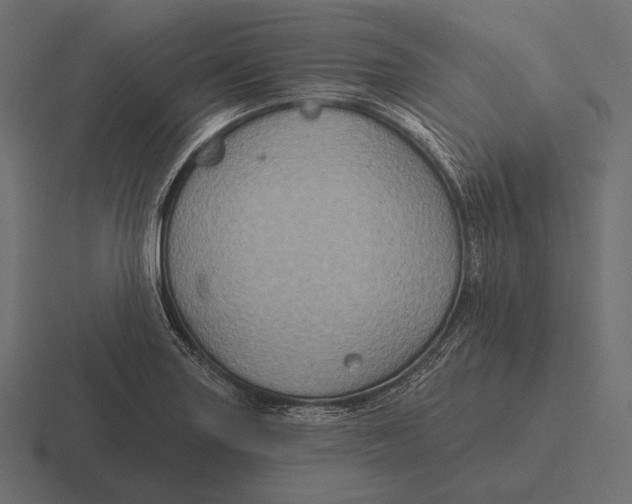 X0000116591227200912291301