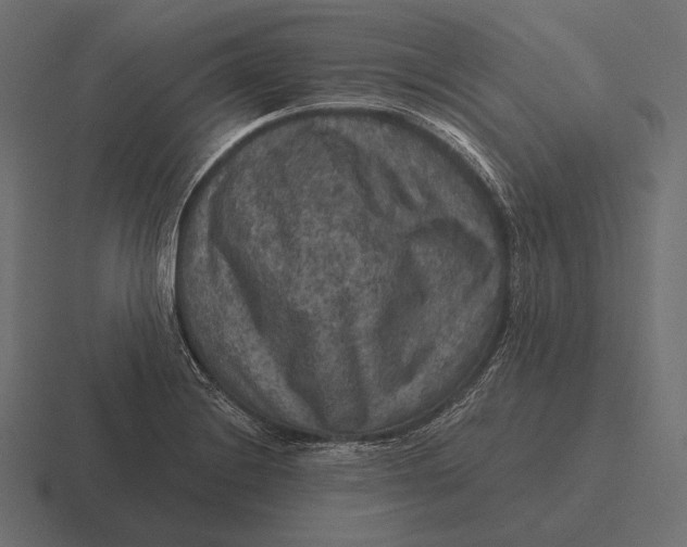 X0000116591228200912291301