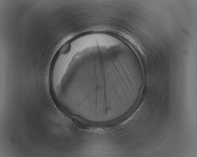 X0000116591229200912291302