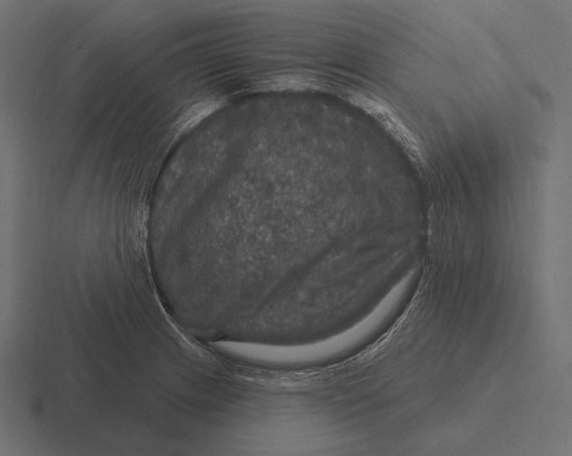 X0000116591233200912291302