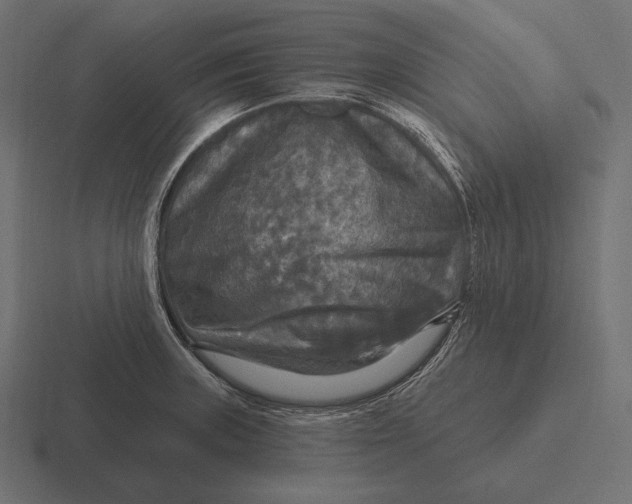 X0000116591235200912291302