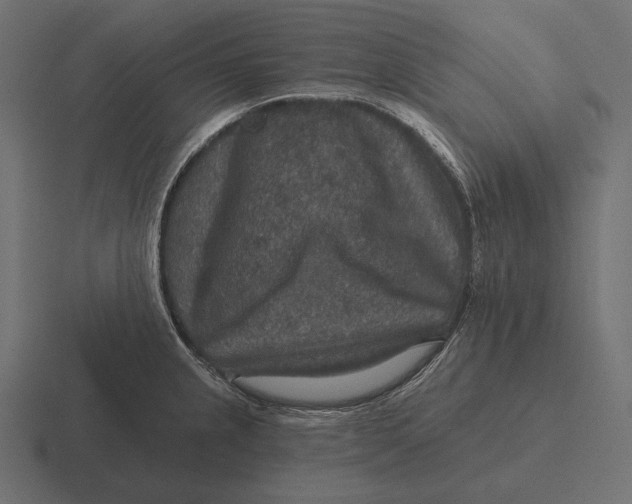 X0000116591237200912291302