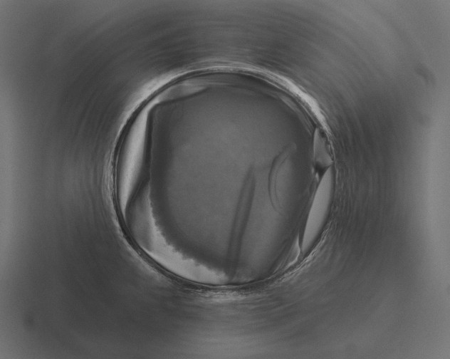 X0000116591239200912291302