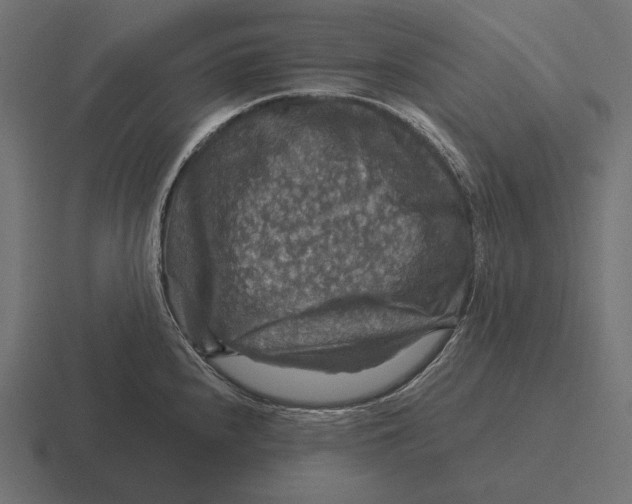 X0000116591240200912291302