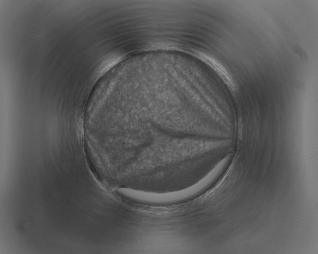 X0000116591241200912291302