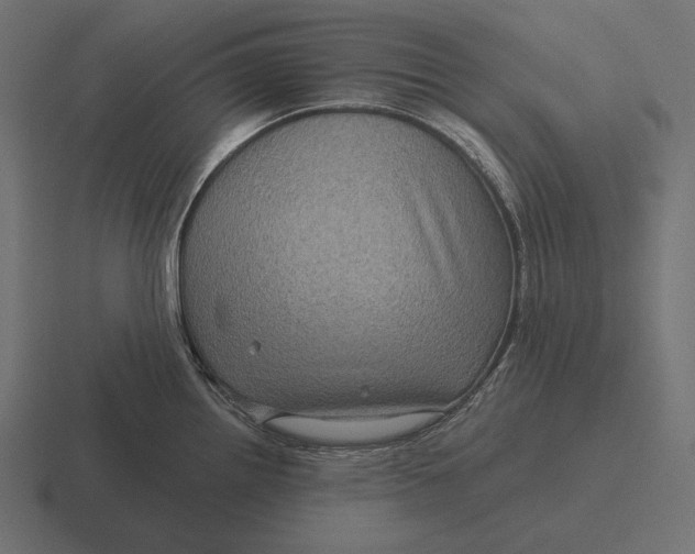 X0000116591242200912291302